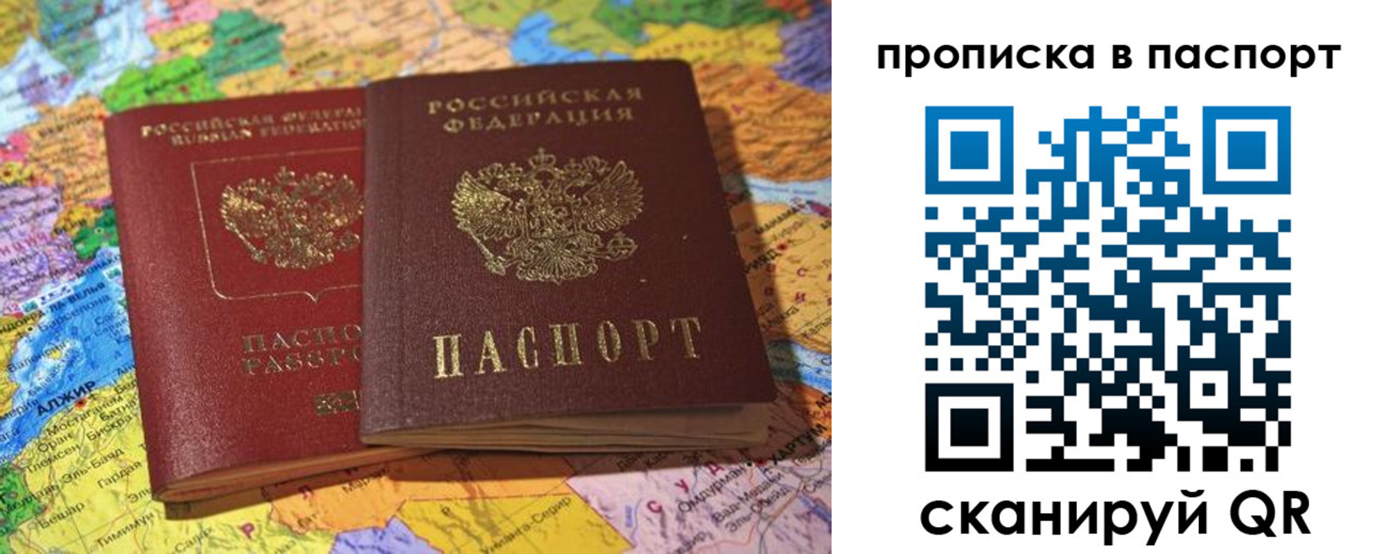 прописка гарантия в Мончегорске